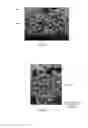 Fig. 06 - Honeycomb structure comprising a cement skin composition with crystalline inorganic fibrous material