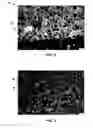 Fig. 03 - Method for making ceramic matrix composite articles