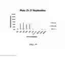 Fig. 20 - ANTIBACTERIALS AND/OR MODULATORS OF BIOFILM FORMATION AND METHODS OF USING THE SAME