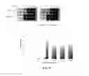 Fig. 25 - ANTIBACTERIALS AND/OR MODULATORS OF BIOFILM FORMATION AND METHODS OF USING THE SAME