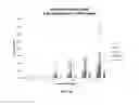 Fig. 29 - ANTIBACTERIALS AND/OR MODULATORS OF BIOFILM FORMATION AND METHODS OF USING THE SAME