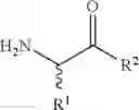Fig. 52 - ANTIBACTERIALS AND/OR MODULATORS OF BIOFILM FORMATION AND METHODS OF USING THE SAME