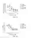 Fig. 16 - Heterodimers of glutamic acid