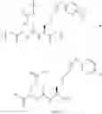Fig. 54 - Heterodimers of glutamic acid