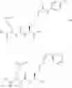 Fig. 56 - Heterodimers of glutamic acid