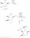 Fig. 22 - New Method for Preparing Isofagomine and Its Derivatives
