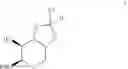 Fig. 24 - New Method for Preparing Isofagomine and Its Derivatives