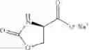 Fig. 89 - Process for the preparation of substituted cycloserines