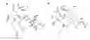 Fig. 01 - ICARIIN DERIVATIVES