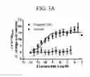 Fig. 06 - Methods for preparing triazole agonists of the APJ receptor