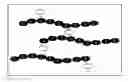 Fig. 01 - NOVEL COMPLEXES FOR THE SEPARATION OF CATIONS