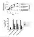 Fig. 01 - Selective HDAC1 and HDAC2 inhibitors