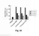 Fig. 03 - Selective HDAC1 and HDAC2 inhibitors