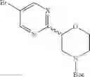 Fig. 12 - Morpholin-pyridine derivatives