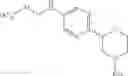Fig. 14 - Morpholin-pyridine derivatives