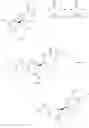Fig. 13 - 2-amino-3-fluoro-3-(fluoromethyl)-6-methyl-6-phenyl-3,4,5,6-tetrahydropyridines as BACE1 inhibitors