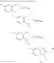 Fig. 11 - Spiro urea compounds as RSV antiviral compounds