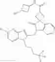 Fig. 63 - Spiro urea compounds as RSV antiviral compounds