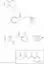 Fig. 565 - Fused morpholinopyrimidines and methods of use thereof
