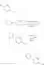 Fig. 673 - Fused morpholinopyrimidines and methods of use thereof