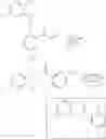 Fig. 683 - Fused morpholinopyrimidines and methods of use thereof