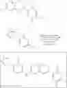 Fig. 742 - Fused morpholinopyrimidines and methods of use thereof