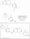 Fig. 751 - Fused morpholinopyrimidines and methods of use thereof