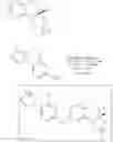 Fig. 974 - Fused morpholinopyrimidines and methods of use thereof