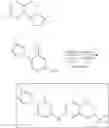 Fig. 985 - Fused morpholinopyrimidines and methods of use thereof
