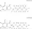 Fig. 43 - Histone deacetylase inhibitors and methods for use thereof
