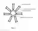 Fig. 02 - Inorganic siloxane ladder composites and methods of their preparation