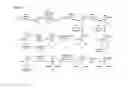 Fig. 11 - Prodrugs and methods of use thereof