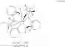 Fig. 40 - Pentaaza macrocyclic ring complexes possessing oral bioavailability