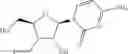 Fig. 206 - 3′-substituted methyl or alkynyl nucleosides nucleotides for the treatment of HCV