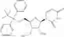 Fig. 282 - 3′-substituted methyl or alkynyl nucleosides nucleotides for the treatment of HCV