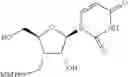 Fig. 291 - 3′-substituted methyl or alkynyl nucleosides nucleotides for the treatment of HCV