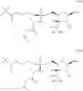 Fig. 34 - 3′-substituted methyl or alkynyl nucleosides nucleotides for the treatment of HCV