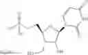 Fig. 362 - 3′-substituted methyl or alkynyl nucleosides nucleotides for the treatment of HCV