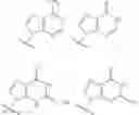 Fig. 13 - Cyclic di-nucleotide compounds as sting agonists