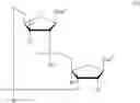 Fig. 32 - Cyclic di-nucleotide compounds as sting agonists