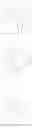 Fig. 341 - Cyclic di-nucleotide compounds as sting agonists