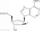 Fig. 351 - Cyclic di-nucleotide compounds as sting agonists