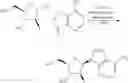 Fig. 369 - Cyclic di-nucleotide compounds as sting agonists