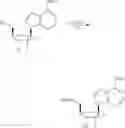 Fig. 405 - Cyclic di-nucleotide compounds as sting agonists