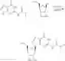 Fig. 454 - Cyclic di-nucleotide compounds as sting agonists