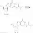 Fig. 455 - Cyclic di-nucleotide compounds as sting agonists