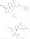 Fig. 495 - Cyclic di-nucleotide compounds as sting agonists