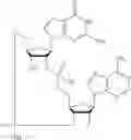 Fig. 506 - Cyclic di-nucleotide compounds as sting agonists