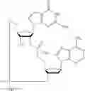 Fig. 507 - Cyclic di-nucleotide compounds as sting agonists