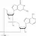 Fig. 513 - Cyclic di-nucleotide compounds as sting agonists